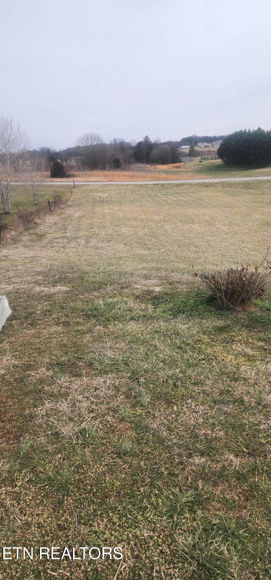 Magnolia Way Madisonville, TN 37354 - Photo 4 of 4 MAG WAY 2