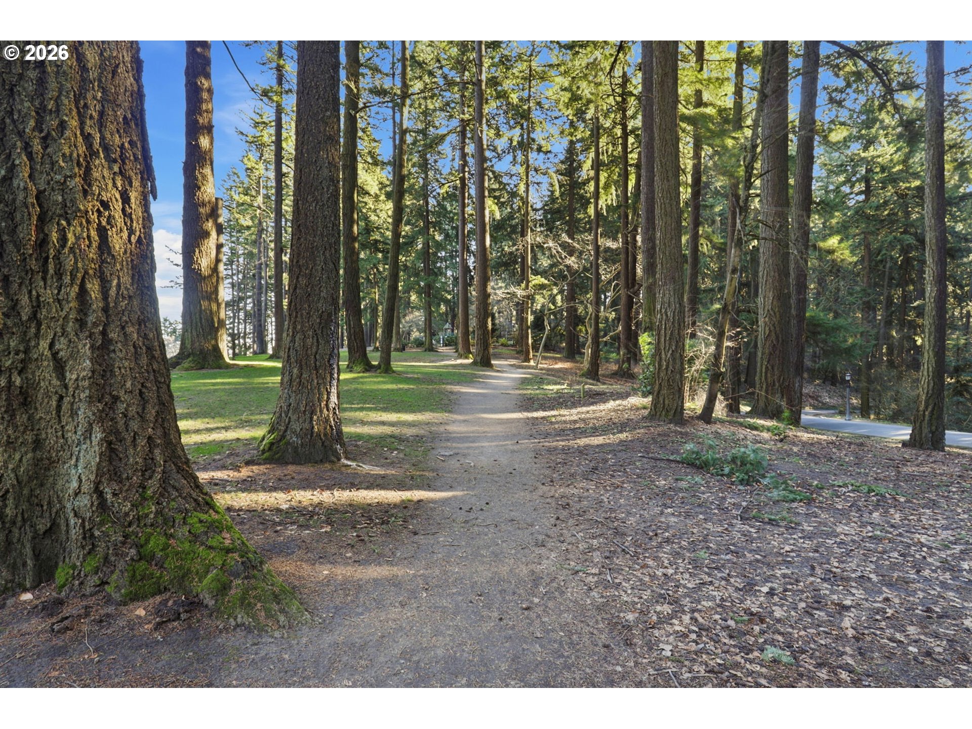25 Southeast 76th Avenue Portland, OR 97215 - Photo 38 of 48 a backyard of a house with lots of green space