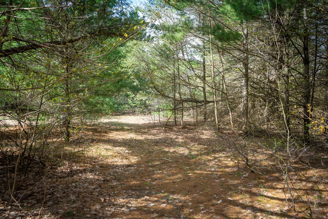 V/l Hudson Road South Boardman, MI 49680 - Photo 25 of 34