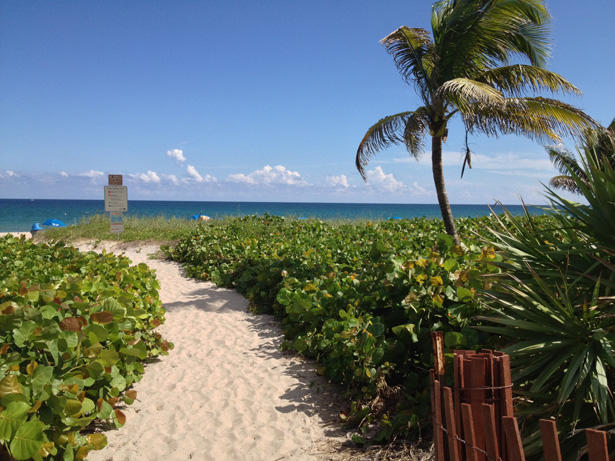 50 E Road, Unit 6D Delray Beach, FL 33483 - Photo 54 of 57 delray-beach-path