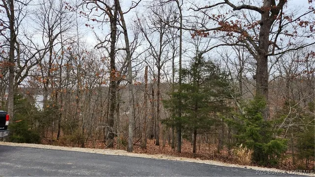 $29,999 | Lot 168 Forestridge Lane, Sunrise Beach, MO 65079