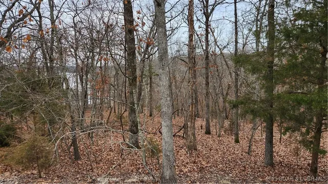 $29,999 | Lot 168 Forestridge Lane, Sunrise Beach, MO 65079