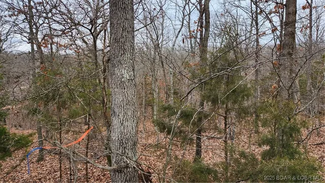 $29,999 | Lot 168 Forestridge Lane, Sunrise Beach, MO 65079