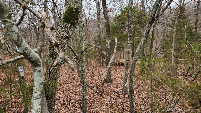 $29,999 | Lot 168 Forestridge Lane, Sunrise Beach, MO 65079
