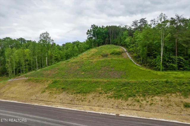 $5,000,000 | Jake Thomas Rd Boulevard, Pigeon Forge, TN 37863