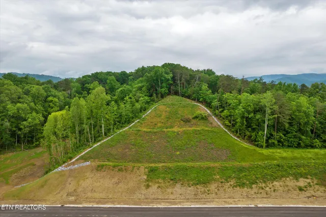 $5,000,000 | Jake Thomas Rd Boulevard, Pigeon Forge, TN 37863