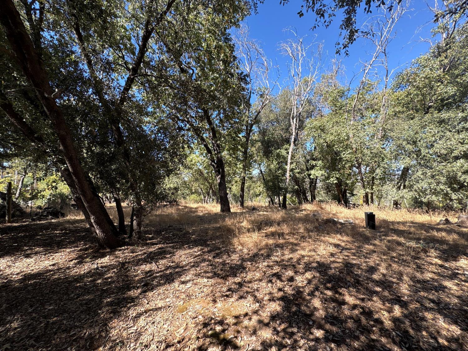 7747 Doster Road Mountain Ranch, CA 95246 - Photo 32 of 36 Gallery Image 32