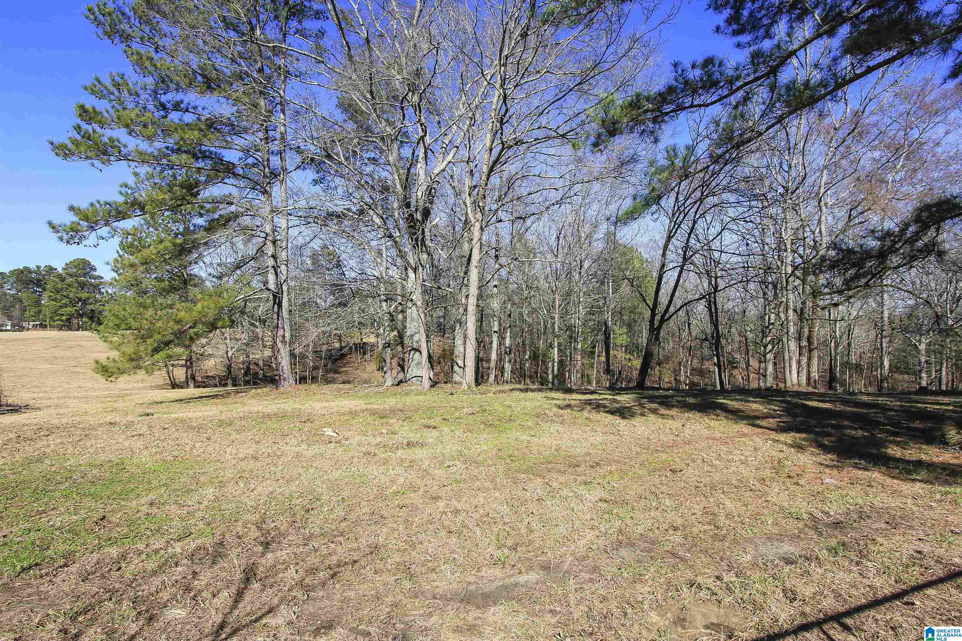 1976 Kirkseys Bend Ohatchee, AL 36271 - Photo 42 of 71