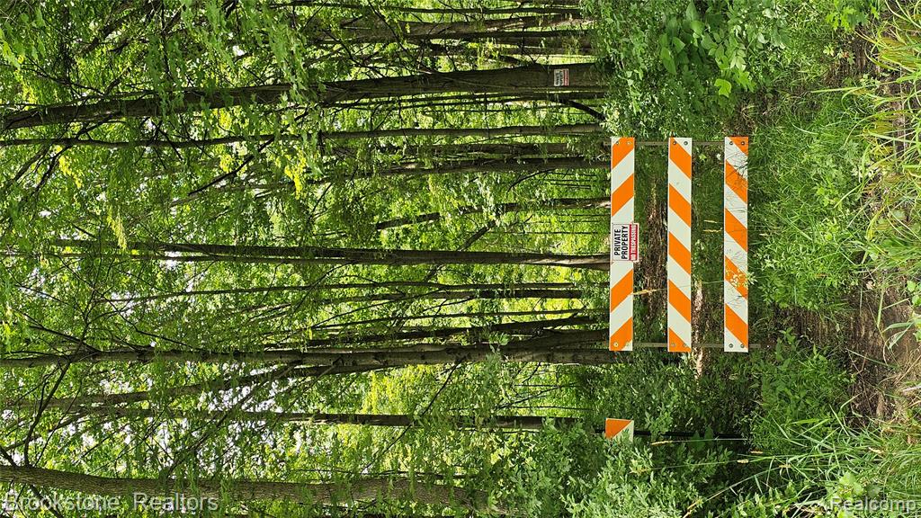 0 Bunton Road Willis, MI 48191 - Photo 6 of 15