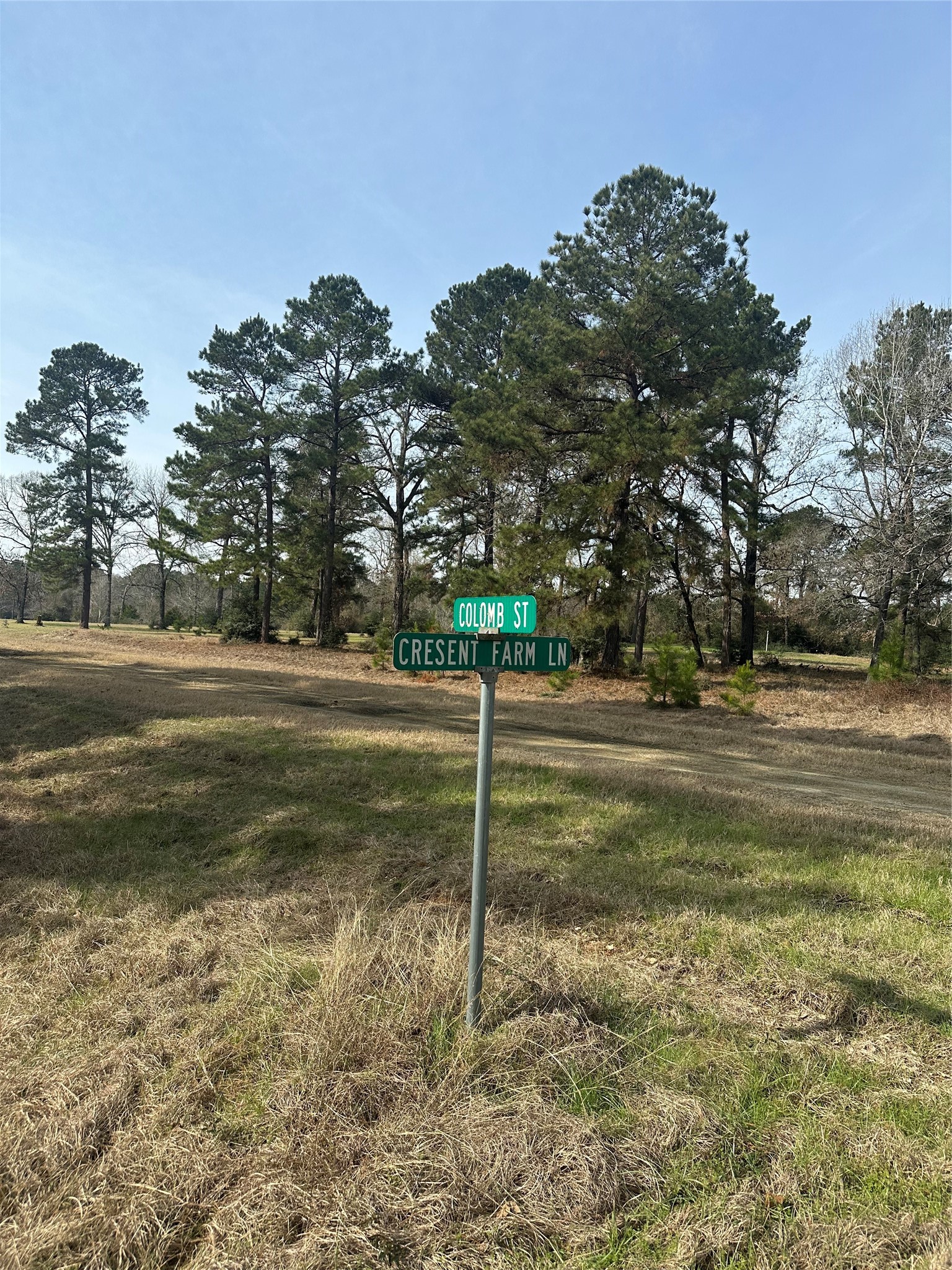 Tbd Cresent Farm Lane Trinity, TX 75862 - Photo 2 of 9 street sign at the corner of Colomb and Cresent Farms Ln