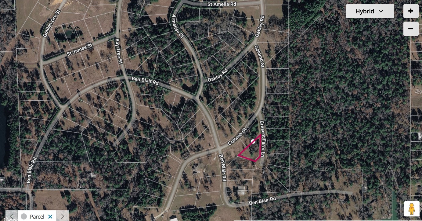 Tbd Cresent Farm Lane Trinity, TX 75862 - Photo 4 of 9 Aerial outline of property.