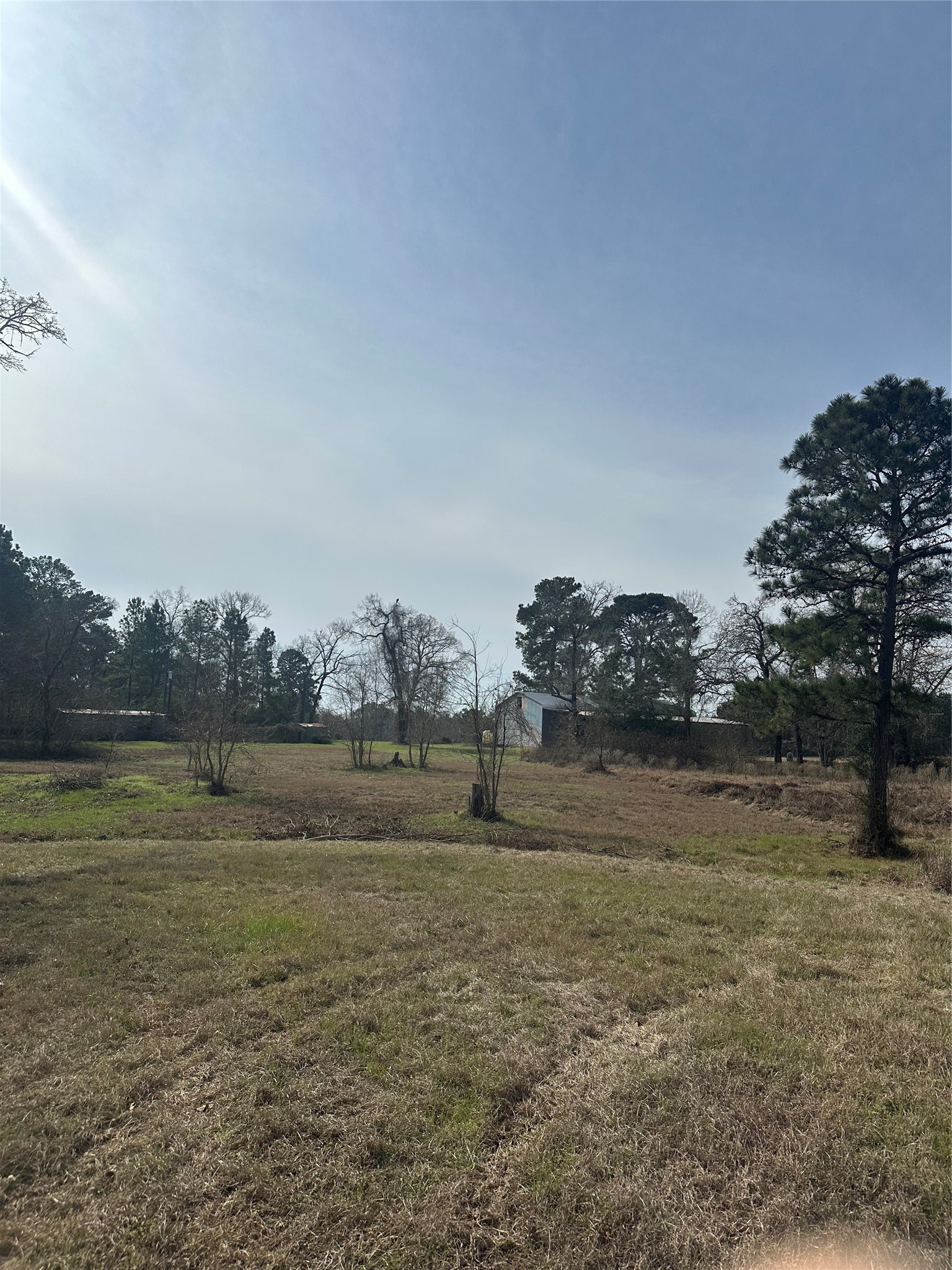 Tbd Cresent Farm Lane Trinity, TX 75862 - Photo 5 of 9