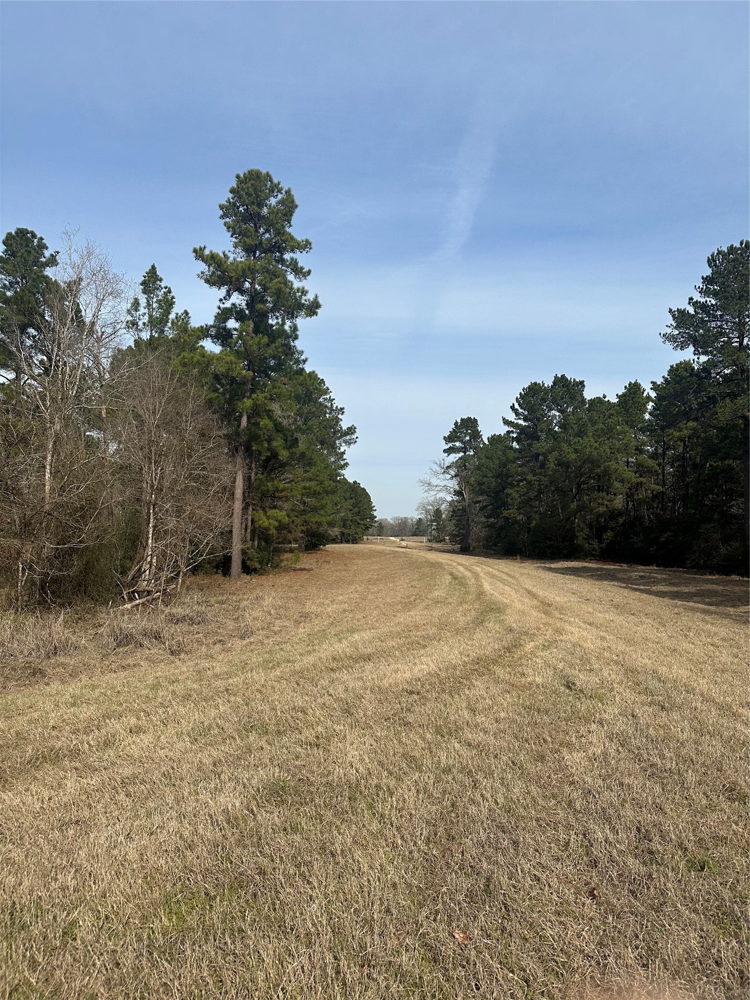 Tbd Cresent Farm Lane Trinity, TX 75862 - Photo 6 of 9