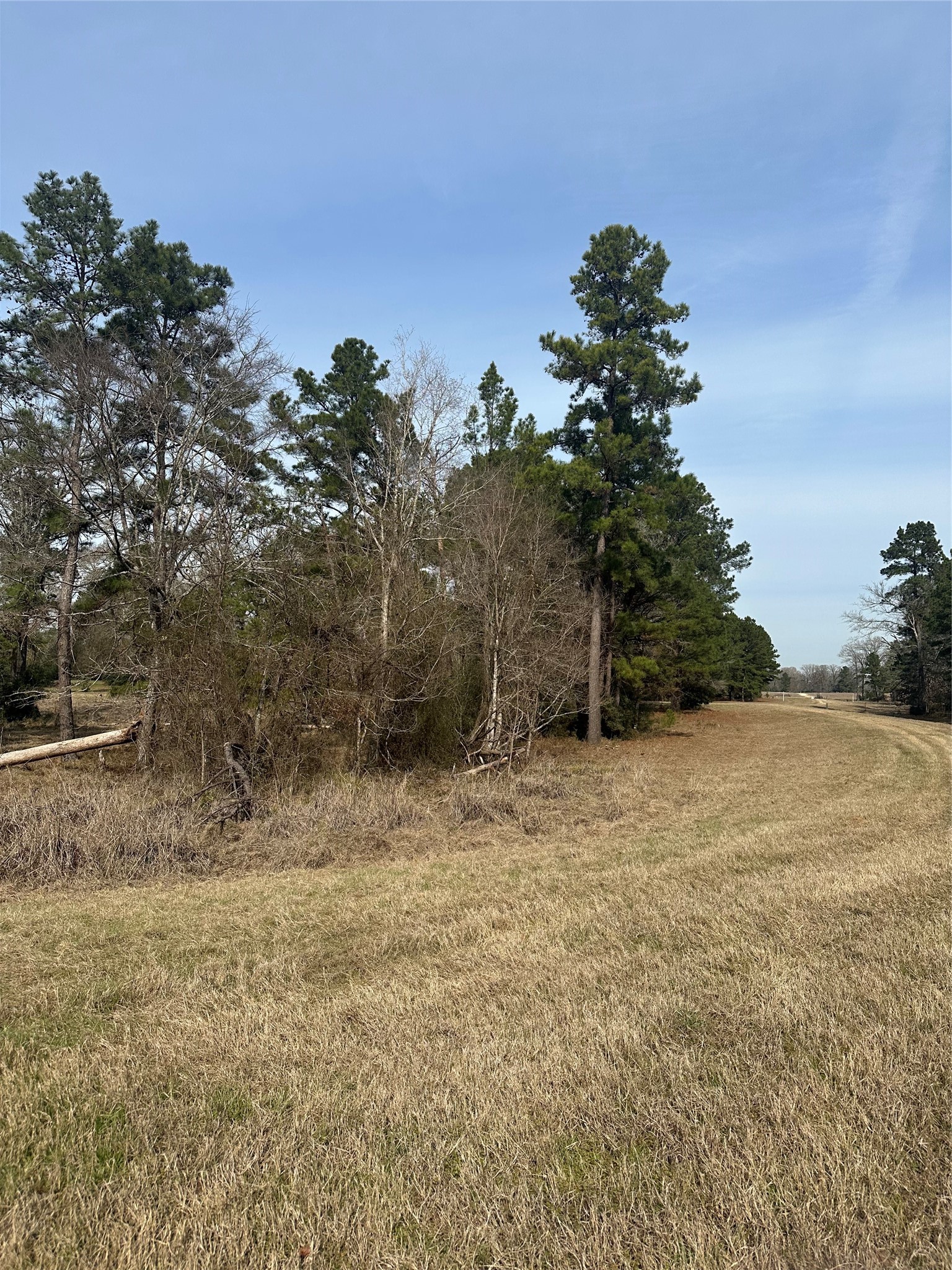 Tbd Cresent Farm Lane Trinity, TX 75862 - Photo 7 of 9