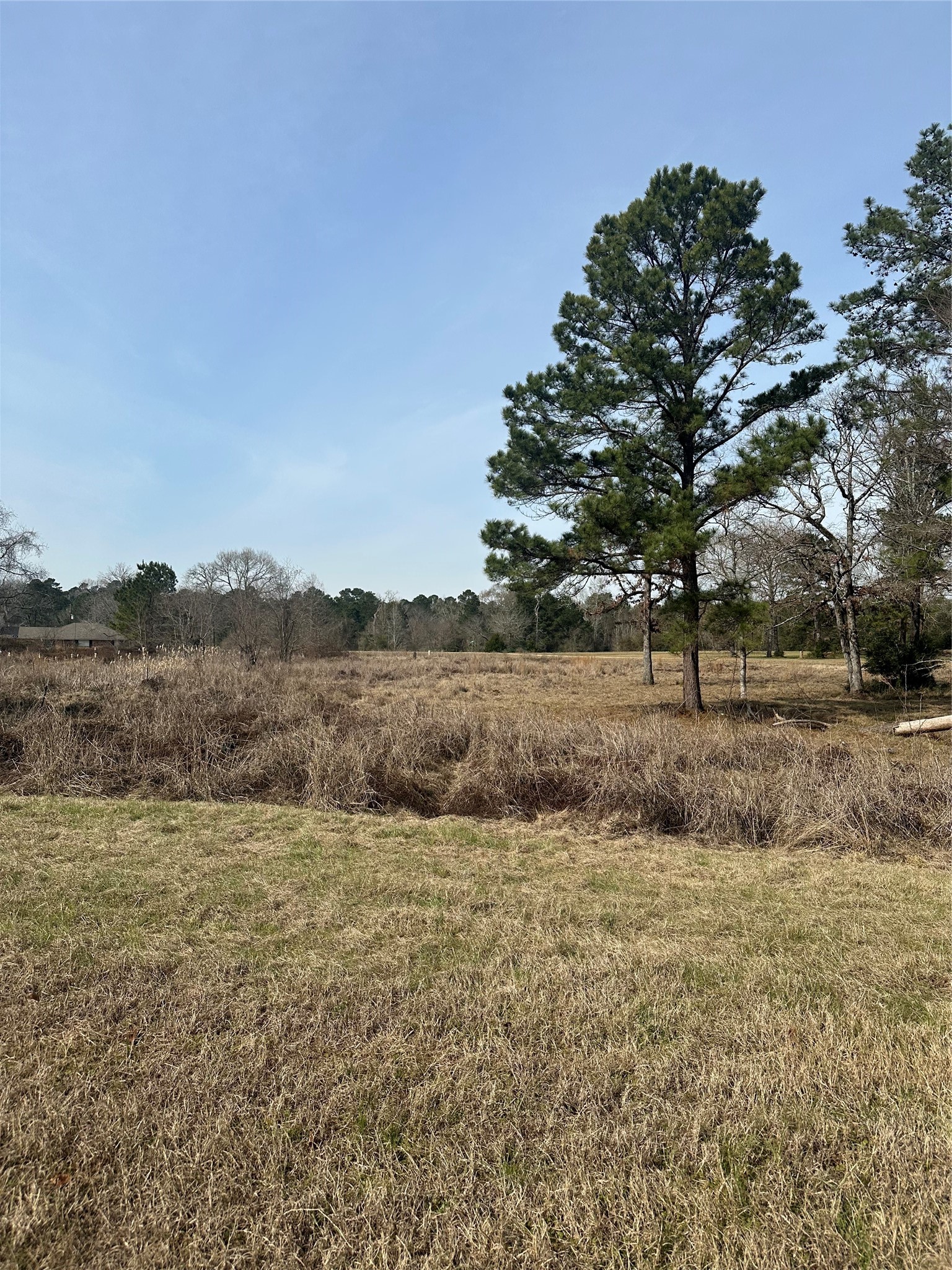 Tbd Cresent Farm Lane Trinity, TX 75862 - Photo 8 of 9