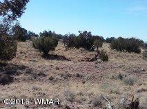 5-9 Carrizo Ranch St. Johns, AZ 85936 - Photo 2 of 5