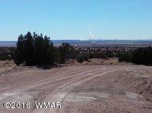 5-9 Carrizo Ranch St. Johns, AZ 85936 - Photo 3 of 5
