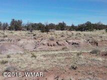 5-9 Carrizo Ranch St. Johns, AZ 85936 - Photo 4 of 5