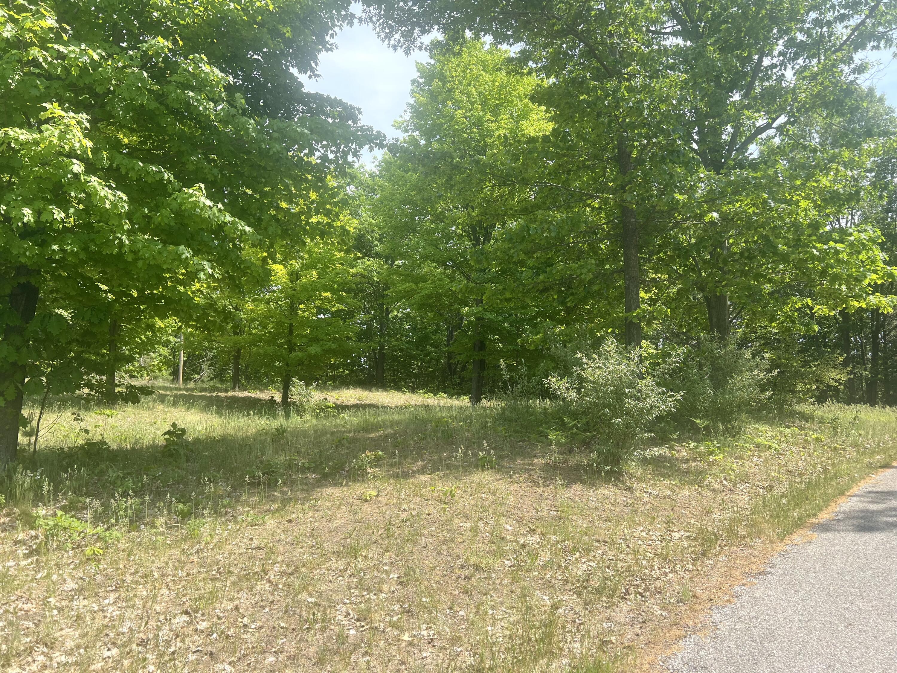 Lot F Wilson Road Mears, MI 49436 - Photo 12 of 14 850D3BD1-5033-4EB9-A364-07FF1B2B2F70