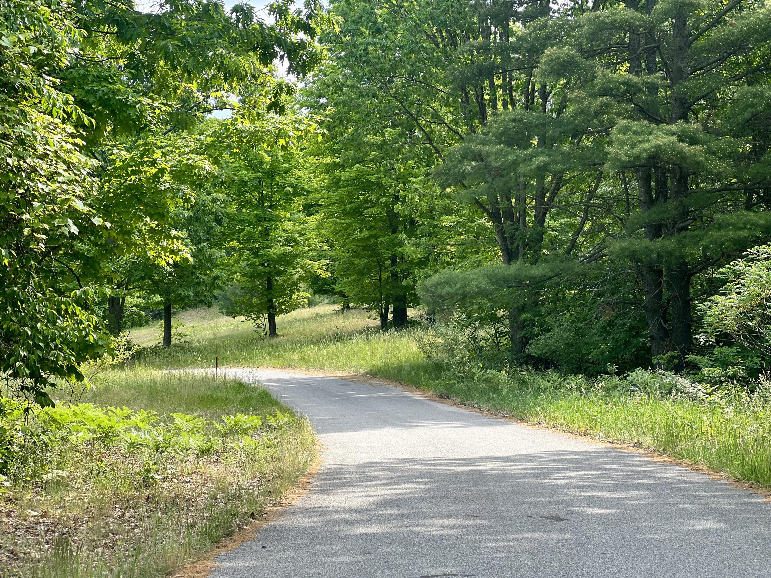 Lot F Wilson Road Mears, MI 49436 - Photo 4 of 14 Road coming into property