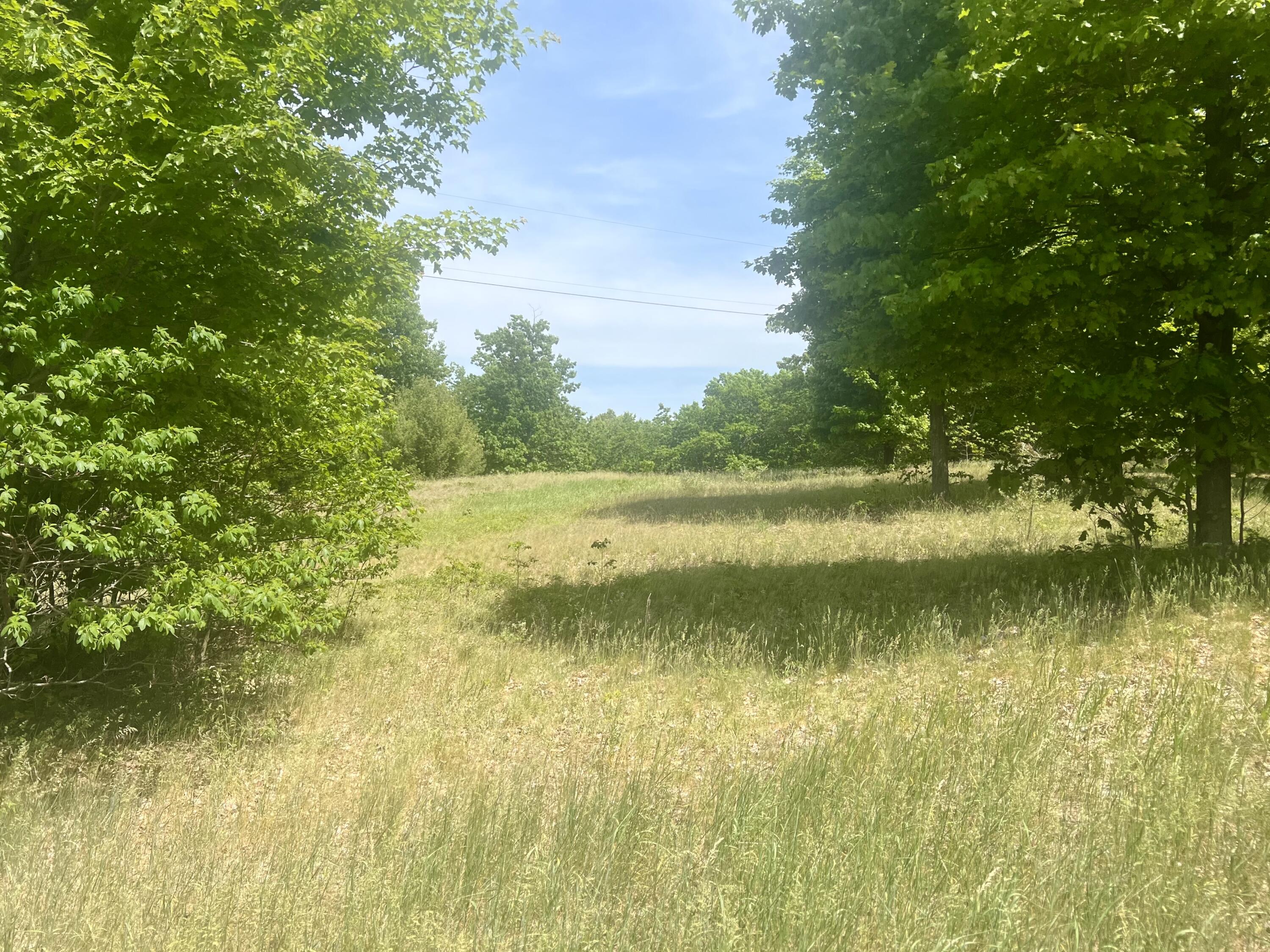 Lot F Wilson Road Mears, MI 49436 - Photo 8 of 14 B89A5C53-8E43-4A5F-A5AA-FB70134ADD6B