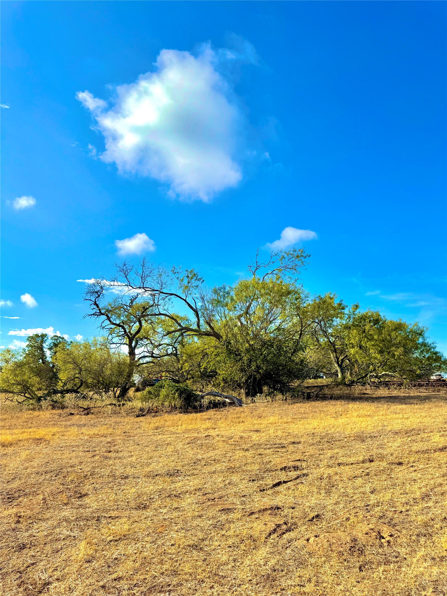 6052 Tenney Creek Road Luling, TX 78648 - Photo 9 of 22 View of yard with a view of countryside