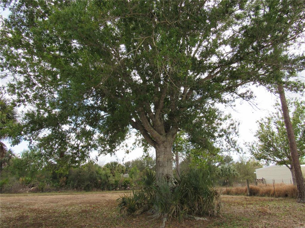 50544 Bermont Road Punta Gorda, FL 33982 - Photo 60 of 62