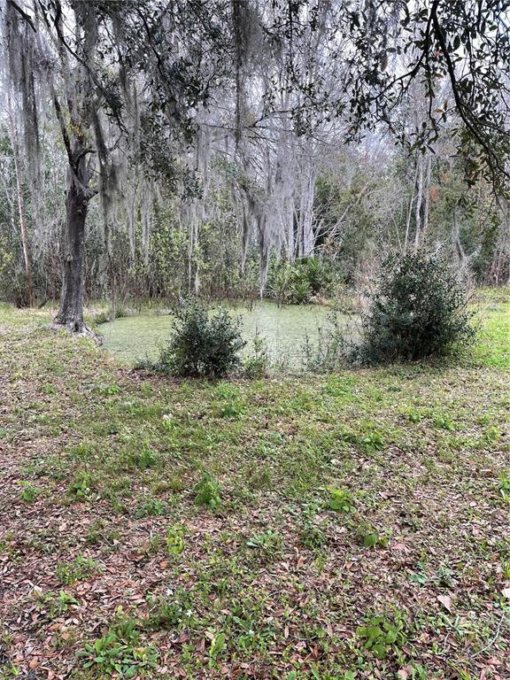 10111 Moore Road Lakeland, FL 33809 - Photo 34 of 43 NATURAL POND