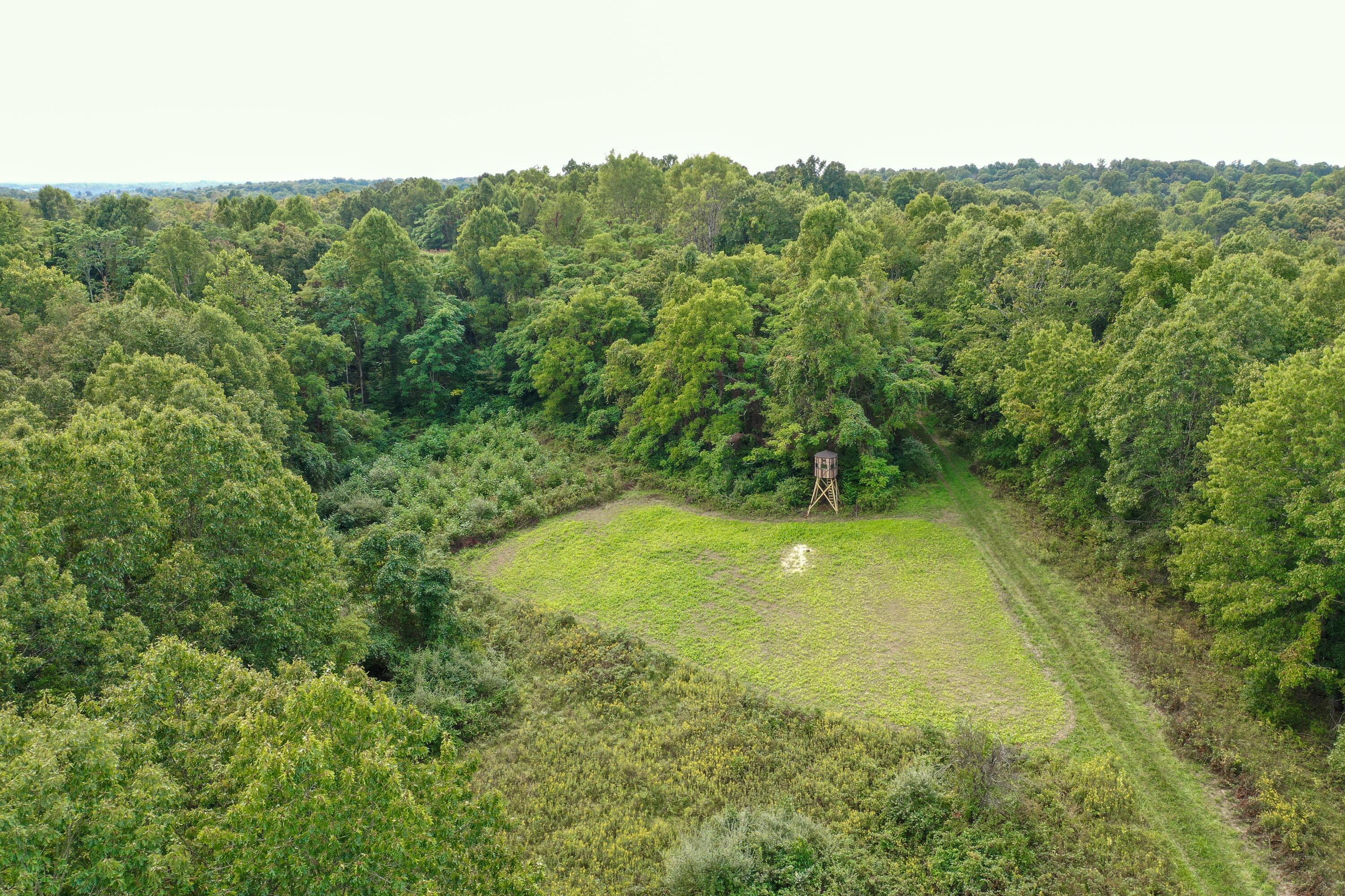 0 Ash Road Stockport, OH 43787 - Photo 5 of 44 DJI_0860