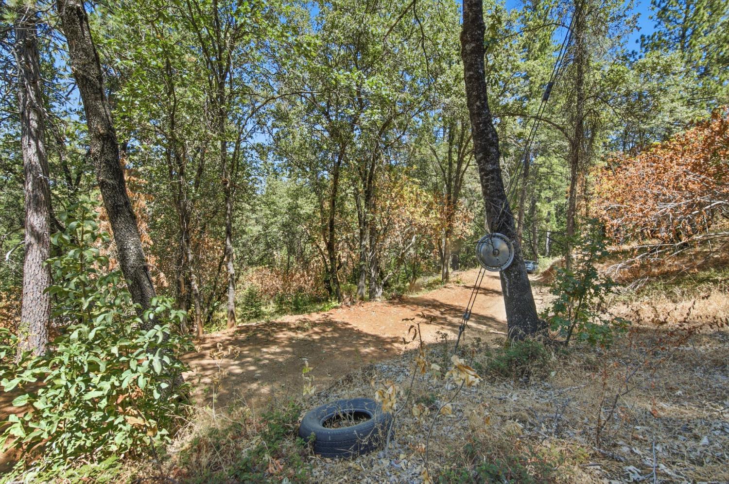 0 Sly Park Road Placerville, CA 95667 - Photo 14 of 27 Gallery Image 14