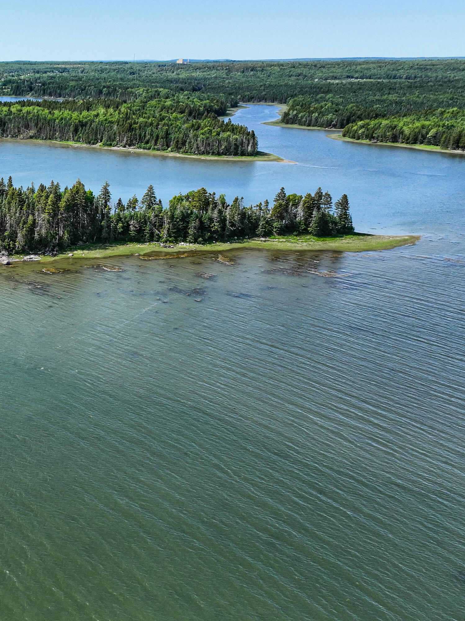 Lot #73 Nepp Point Road Roque Bluffs, ME 04654 - Photo 6 of 13 DJI_0284