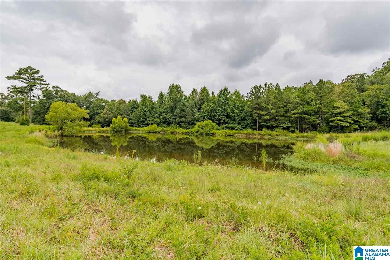 0 Sunset Road, Unit 2077 2002 Pell City, AL 35128 - Photo 2 of 3