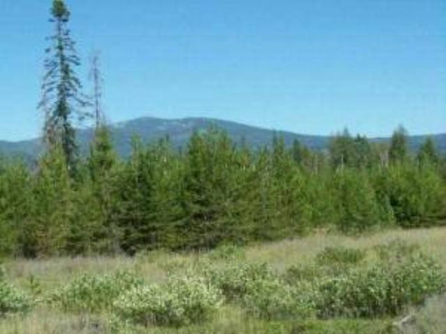 L-11 Greenhouse Road Ione, WA 99139 - Photo 1 of 9