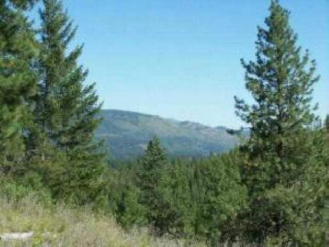 L-11 Greenhouse Road Ione, WA 99139 - Photo 2 of 9