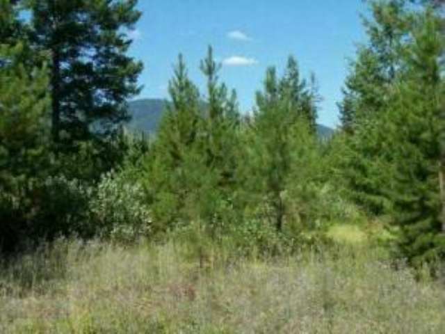 L-11 Greenhouse Road Ione, WA 99139 - Photo 3 of 9