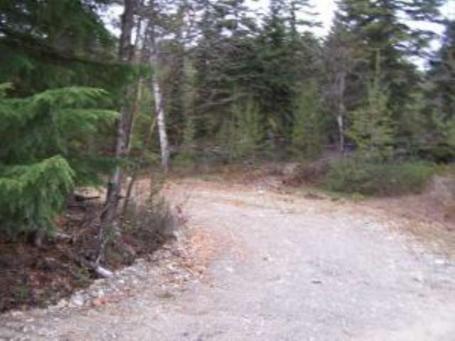 L-11 Greenhouse Road Ione, WA 99139 - Photo 4 of 9