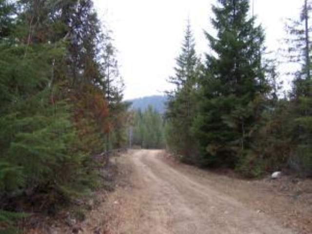 L-11 Greenhouse Road Ione, WA 99139 - Photo 5 of 9