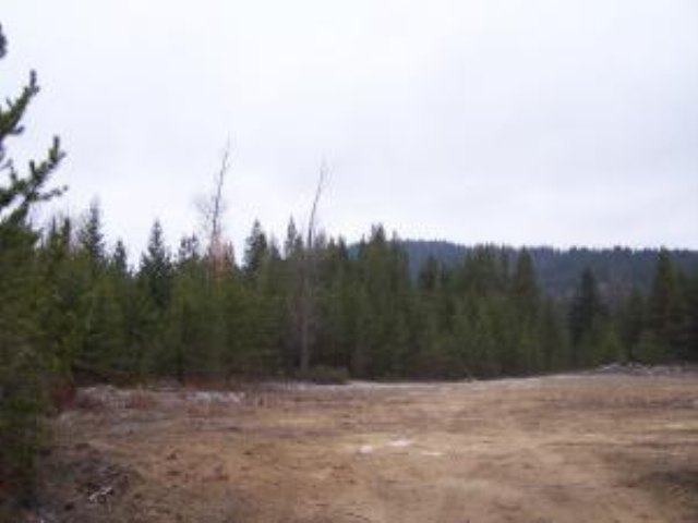 L-11 Greenhouse Road Ione, WA 99139 - Photo 6 of 9