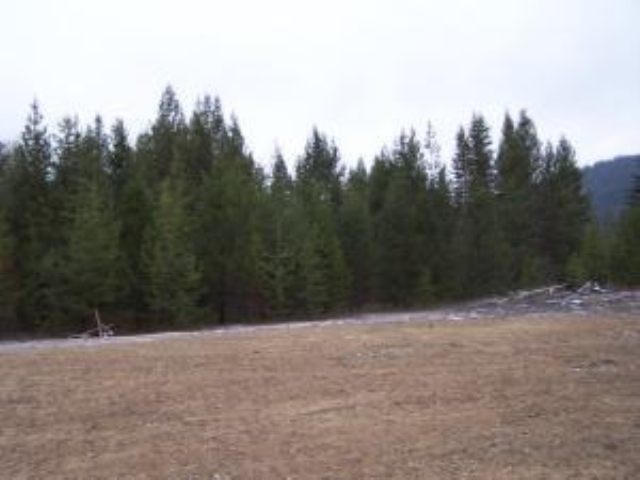 L-11 Greenhouse Road Ione, WA 99139 - Photo 7 of 9