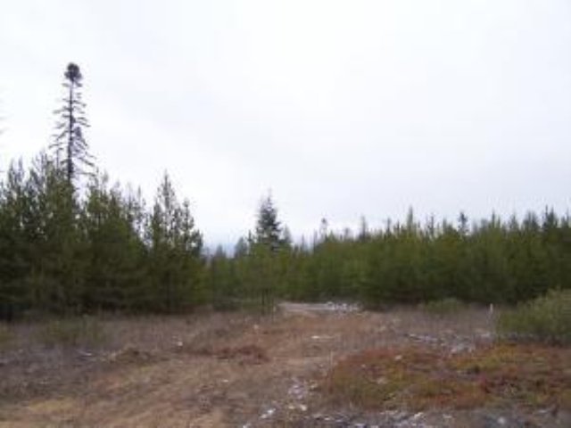 L-11 Greenhouse Road Ione, WA 99139 - Photo 8 of 9