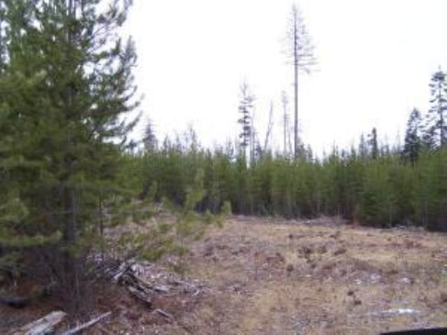L-11 Greenhouse Road Ione, WA 99139 - Photo 9 of 9