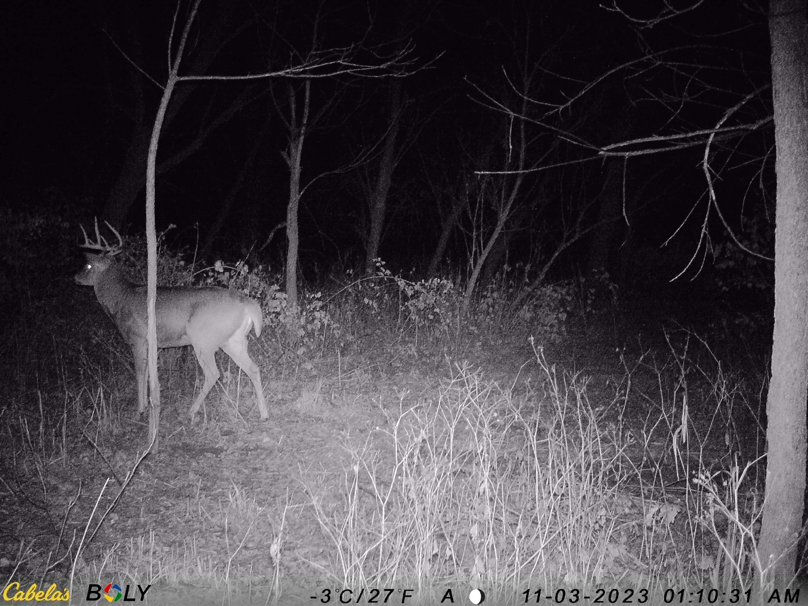 Tbd West Beaty Hollow Road Hanover, IL 61041 - Photo 54 of 92 Gallery Image 54