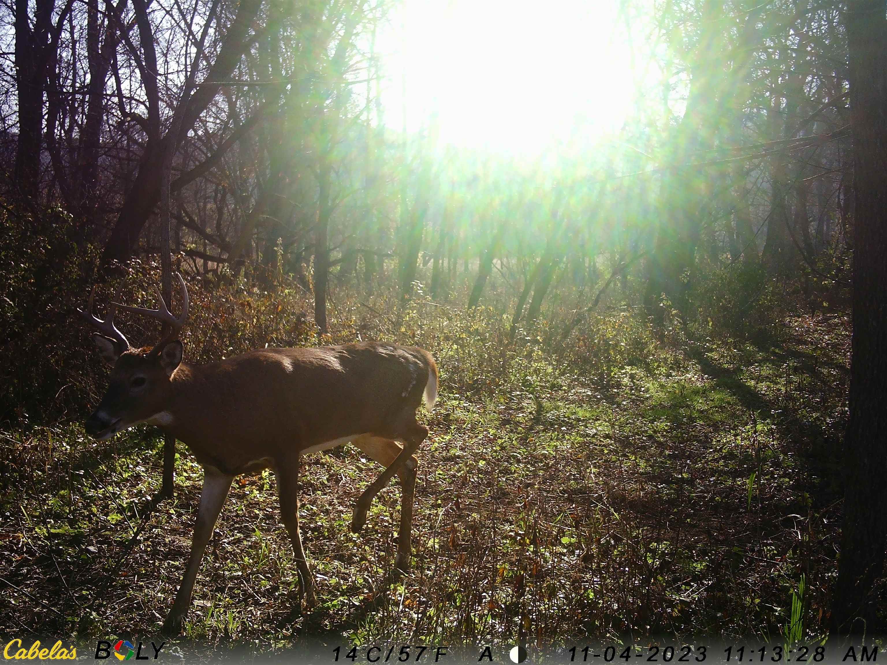 Tbd West Beaty Hollow Road Hanover, IL 61041 - Photo 60 of 92 Gallery Image 60