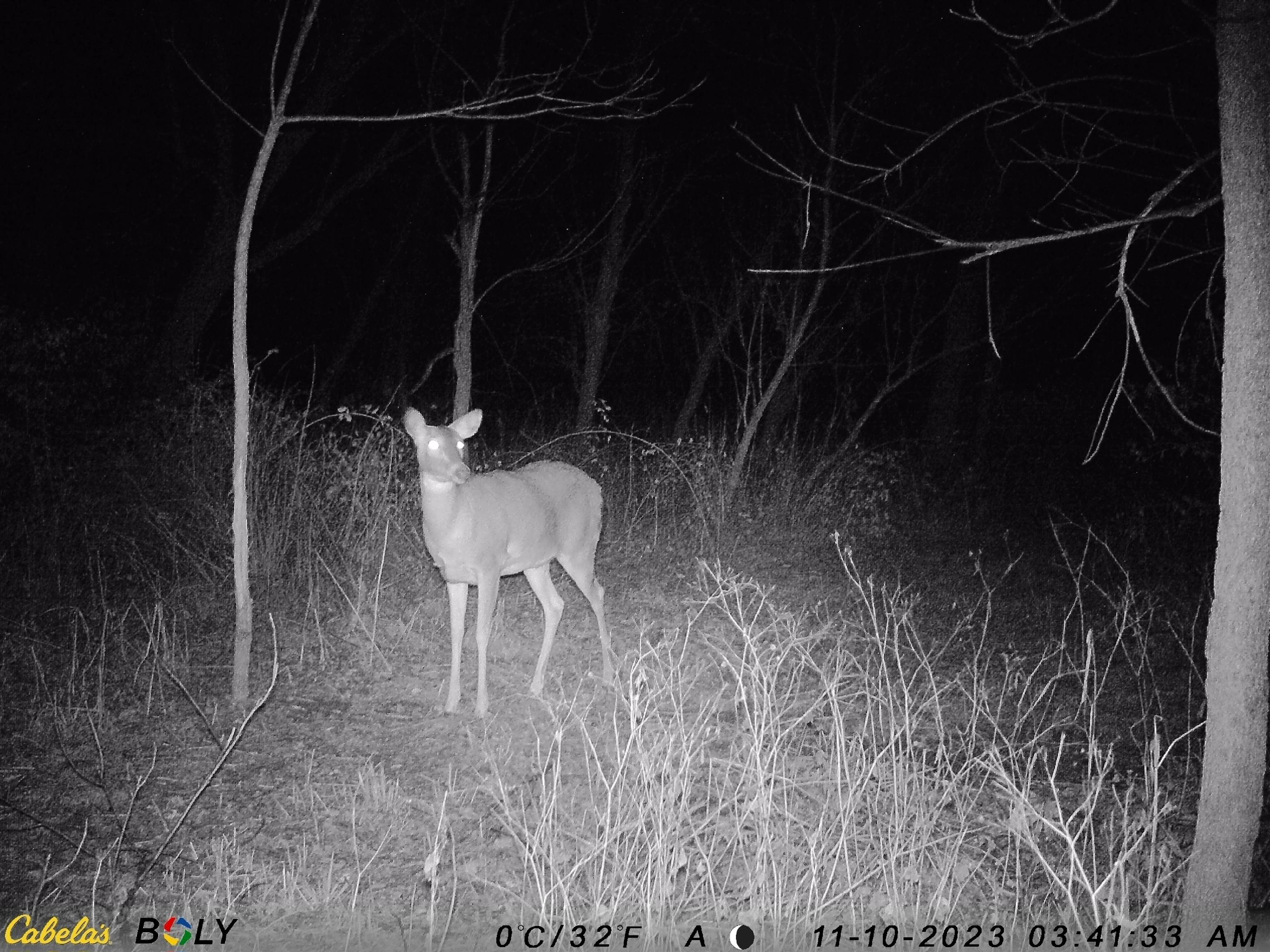 Tbd West Beaty Hollow Road Hanover, IL 61041 - Photo 86 of 92 Gallery Image 86