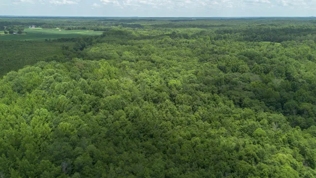 a view of a field of grass and trees