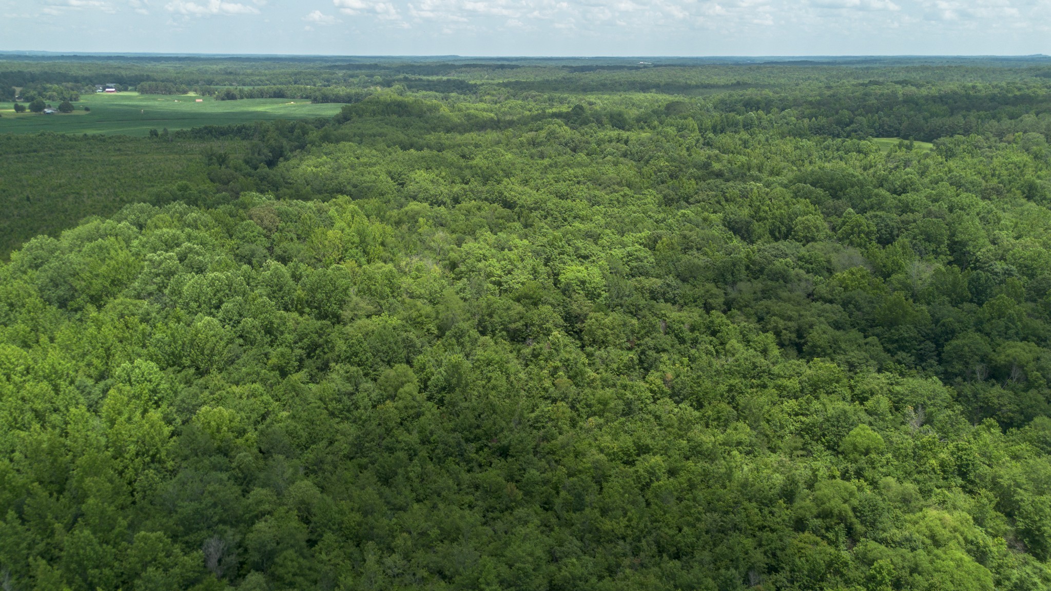a view of a field of grass and trees