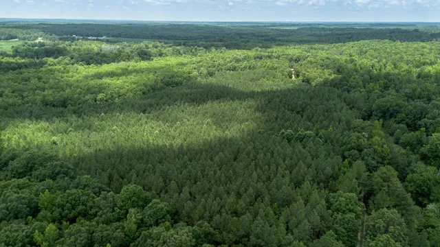 a view of a field of grass and trees