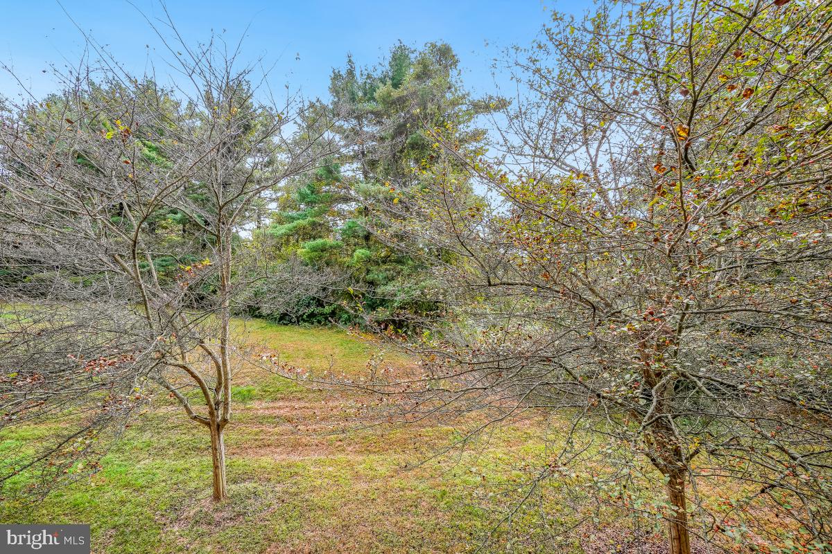 18610 Walkers Choice Road, Unit 18610 Gaithersburg, MD 20886 - Photo 12 of 30 a view of a lake with a tree