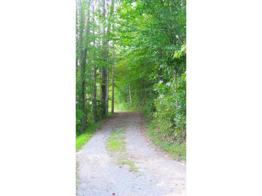 243 High Rock Road Rogersville, TN 37857 - Photo 15 of 23 Photo 15