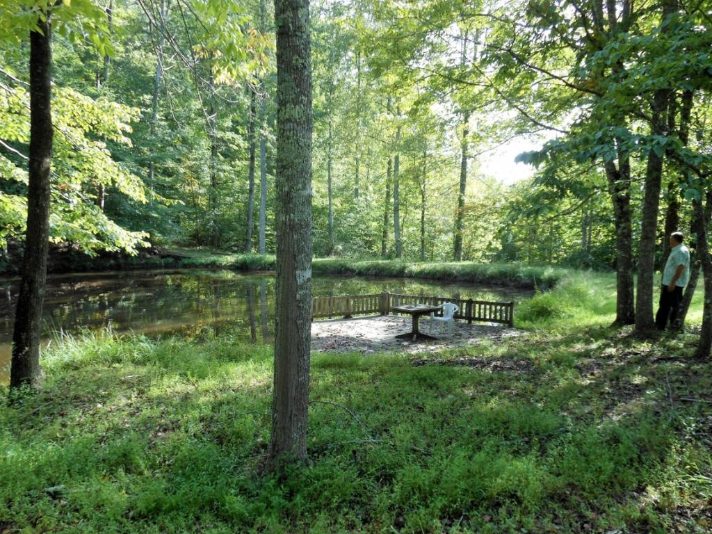243 High Rock Road Rogersville, TN 37857 - Photo 18 of 23 Photo 18